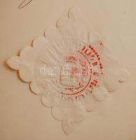 1893 a Gyakorlati Bírói Vizsgálati Bizottság igazolása bírói képesítésről máramarosszigeti királyi t...