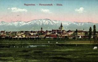 Nagyszeben, Sibiu; látkép / panorama view