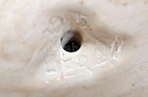 Héra József (1976-): Madárpár. Fehér márvány, gránit talapzaton, jelzett, 43×36 cm, m:38 cm