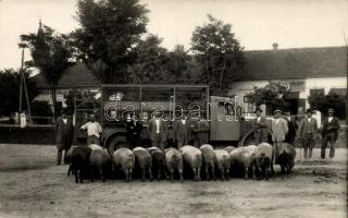 Tótkomlós, sertéstenyésztők és sertések, teherautó, Schvarcz üzlete, Weisz Sándor photo (fa)