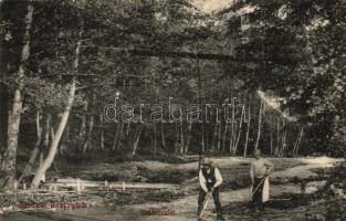 Rozsnyó, Roznava; Erdőrészlet, férfiak csákánnyal / woods, men with pickaxe (EK)