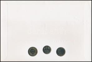 Ausztria / Németország / Svájc 1993. "Közös kiadás - Boden-tó" érmés boríték első napi bél...