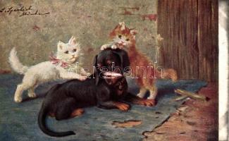 Cats with Dachshund dog s: S. Sperlich