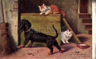 Dog with cats s: S. Sperlich