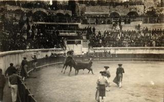 Bullfight photo