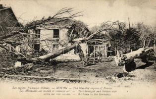 Noyon, Trees damaged and thrown over the house by the Germans