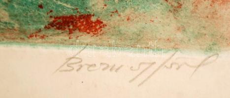 Breznay József (1916-2012): A kakas, színezett rézkarc, papír, jelzett, számozott (4/100), 29,5×38,5...