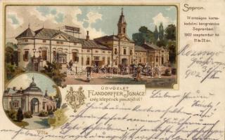 1902 Sopron, IV. Országos kereskedelmi kongresszus; Flandorffer Ignácz cégtelepének pincéjéből, villa, floral, litho