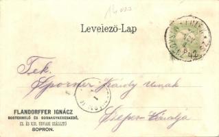 1902 Sopron, IV. Országos kereskedelmi kongresszus; Flandorffer Ignácz cégtelepének pincéjéből, vill...