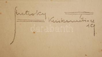 cca 1910 Szánthó Pál főszolgabíró díszmagyarban, kitüntetésekkel, Sterliszky (Dabas, Nagyszőlős) fot...