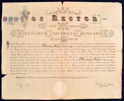 1921 Jogi egyetemi diploma Angyal Pál és Hanuy Ferenc aláírásával