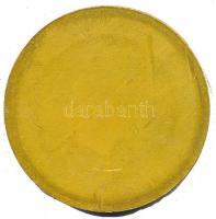 1974. "25 éves a Polgári Védelem" aranyozott fém emlékérem. Szign.: HG (80mm) T:2 ph