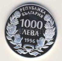 Bulgária 1996. "Kaliakra-hajó" 1000L Ag T:PP