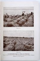 1929 Német vegyiárú forgalmazó cég képes ismertető füzete, a különböző vegyi anyagok elkészítésének ...