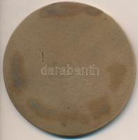 DN "30 éves a Honvédségi Szemle" egyoldalas Br érem (80,5mm) T:2