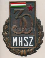 1978. &quot;30 éves az MHSZ (Magyar Honvédelmi Szövetség)&quot; zománcozott Br plakett (109x78mm) T:2