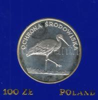 Lengyelország 1982. "Gólya" 100Zl Ag T:PP Eredeti tokban!