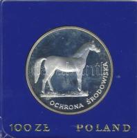 Lengyelország 1981. "Ló" 100Zl Ag T:PP Eredetitokban, tanúsítvánnyal!