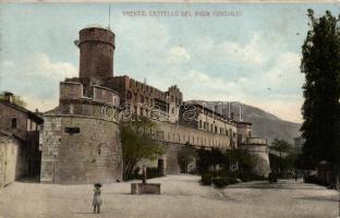 Trento, Castello del Buon Consiglio / castle