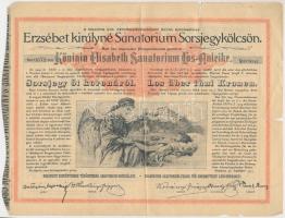 Budapest 1904. "Erzsébet királyné Sanatorium Sorsjegykölcsön" sorsjegye 5K-ról, szárazpecséttel T:III,III-