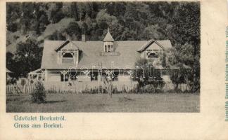 Borkút, Borcut; &#039;Port Artur&#039; ház / house (vágott / cut)