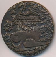 1984. "Malév műszaki bázis" Br érem (49mm) T:2