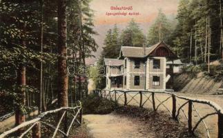 20 db régi történelmi magyarországi városképes képeslap, sok lap a fürdővárosokból, vegyes minőség /...