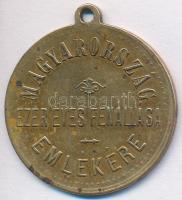 1896. "896-1896 Millenniumi emlék / Magyarország ezer éves fennállása emlékére" Cu érem fü...