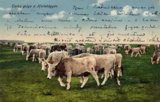 10 db régi magyarországi képeslap, vegyes minőség / 10 old Hungarian town-view postcards, mixed qual...