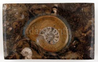 Fosszilis mészkőből (Atlasz-hegység, Marokkó) készült dekoratív doboz, benne ammonites-maradványokka...