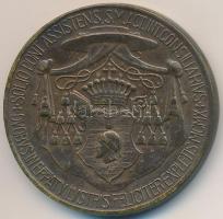 Berán Lajos (1882-1943) 1910. "Csáky Károly Emmánuel váci megyéspüspök" Br emlékérem (38,5...