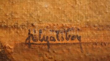 Pólya jelzéssel: Kisfiú az ablakban. Olaj, karton, keretben, 41×28 cm