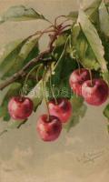 Cseresznye, csendélet / Fruit still life, cherry, litho s: C. Klein