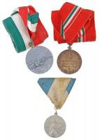 ~1930-1940. "PATRIA" ezüstözött Br sportérem mellszalagon, "ARKANZAS BUDAPEST" g...