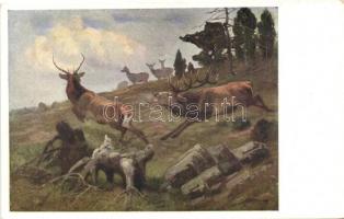 Hunting postcard, deer, B.K.W.I. 667-1.