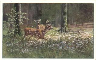 Hunting postcard, deer, B.K.W.I. 610-1., artist signed