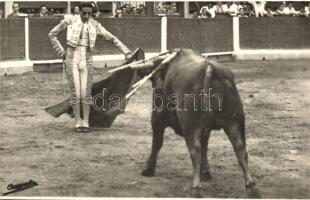 Showing the cloth to the running bull, bullfight, Chapresto Fotografica