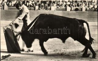 Beginning a chest pass, bullfight, Chapresto Fotografica