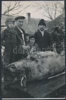 cca 1960 Mezőtúri disznóvágás, Tiszavölgyi József(1909-?) pecséttel jelzett vintage szociofotója, 24x15 cm