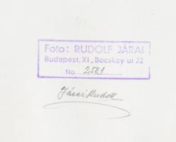 cca 1955 Járai Rudolf (1913-1993): Solymász, aláírt, pecséttel jelzett vintage fotóművészeti alkotás...