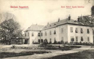 Nagyida, Velka Ida; báró Schell Gyula kastélya / castle (EK)