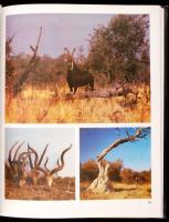 Magyar Ferenc: Vadászat Kudu-földön. Afrikai vadásznapok. Bp., 1989, Béta. Kartonált papírkötésben, ...