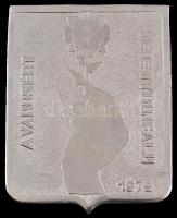 1979. "Berettyóújfalu - A városért" ezüstözött fém plakett eredeti dísztokban (93,5x119mm)...