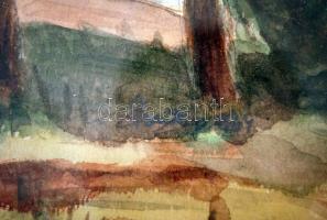 Zentai Pál (1938-1987): Balaton part. Akvarell, papír, jelzett, üvegezett keretben, 30×28 cm