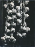 cca 1975 Zsigri Oszkár: Fokhagymafüzér, feliratozott vintage fotóművészeti alkotás a szerző hagyatékából, 24x18 cm