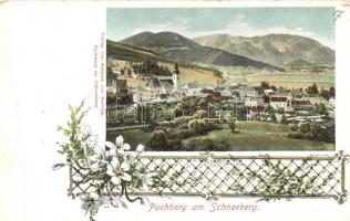 11 db RÉGI európai városképes képeslap, túlnyomórészt a történelmi Magyarország területéről, egy kiv...