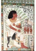 38 db modern használatlan képeslap, 26 db japán és egyiptomi motívumlap valamint 12 db reprint debre...