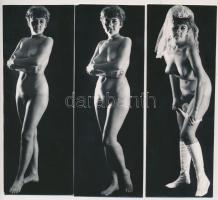 cca 1970 Nászéjszakához öltözve, illetve vetkőzve, 6 db finoman erotikus fénykép, 18x5 cm /
cca 197...