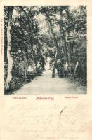 Budapest II. Hűvösvölgy, erdő-részlet (Rb)