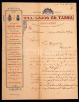 1884 Rill Lajos és Társa üzleti levél díszes, fejléces papíron, 28x23cm